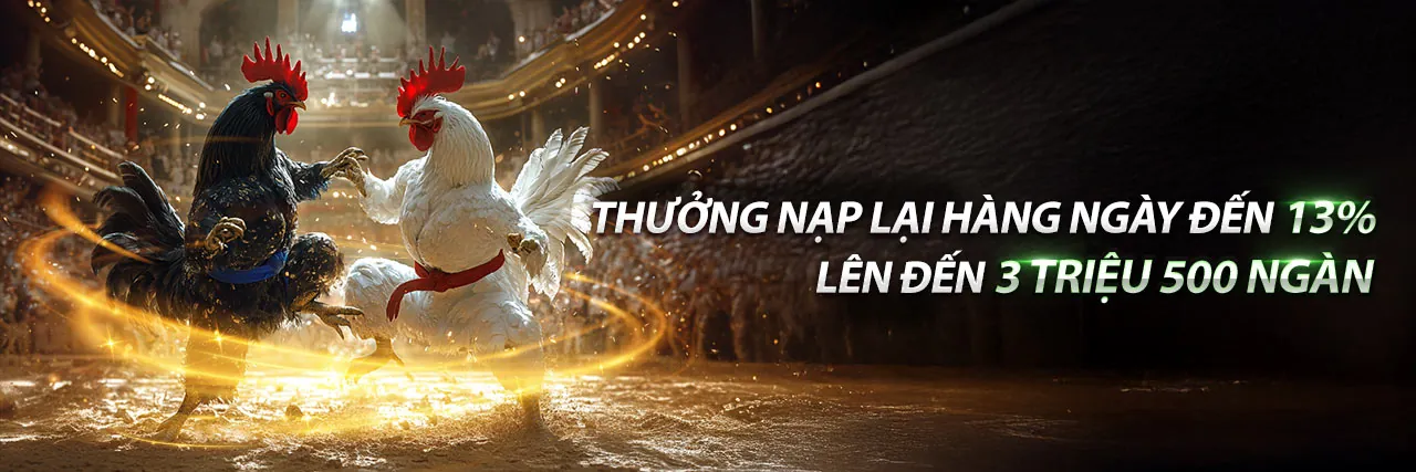 Hình ảnh chính của Blog OKVIP Nhà Cái 2026